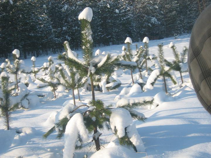 zad 039.jpg